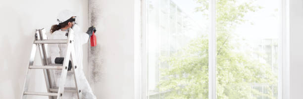 Best Basement Mold Removal  in Blanchard, OK